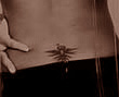 Celebrity_tattoos_6_thumb
