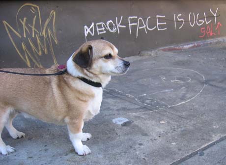 Budtag2