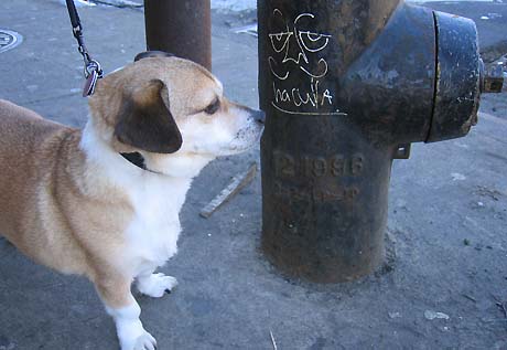 Budtag3