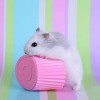 hamster-glamour-shot-24