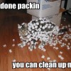comedy-cat-13