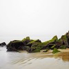 peter-lik-1