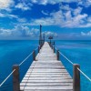 peter-lik-16