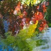 peter-lik-7