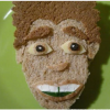 face sandwich (1)
