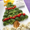 christmas tree edible (21)