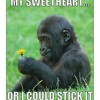 Funny Valentines Day Cards You Can Print (22)