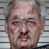 celebrity-mugshots-13